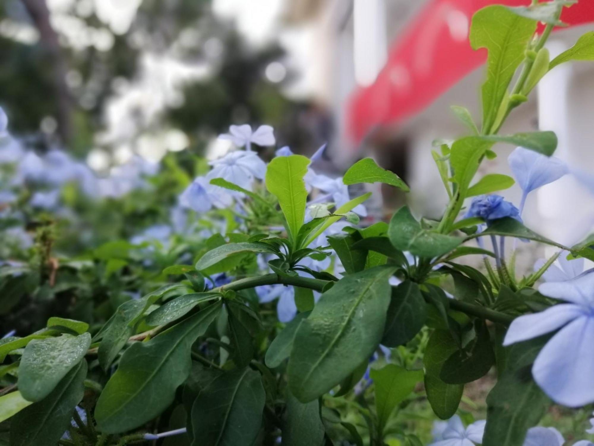 B&B Sa Scraria Meana Sardo Buitenkant foto